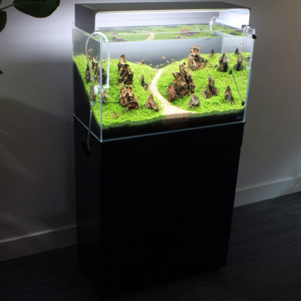 Aquaria Wood Cabinet
